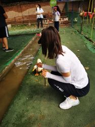 -上美四季动物农场