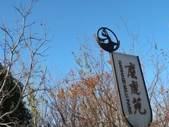 -北京麋鹿生态实验中心