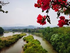 -中国科学院西双版纳热带植物园