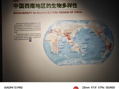 -四川大学博物馆
