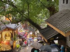 -重庆十八梯传统风貌区