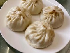 -丁老爷子苏香圆