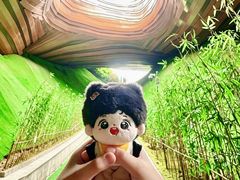 -报恩禅寺