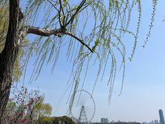 -无锡蠡湖国家湿地公园-蠡园