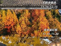 -陈记菜馆·非遗淮扬菜(东关街教场店)