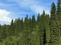 -新疆那拉提国家旅游度假区