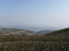 -东钱湖旅游度假区