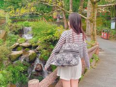 -藏龙百瀑风景区