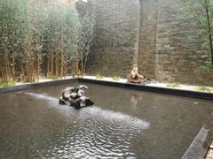 -天津海河悦榕庄·Lobby Lounge大堂吧