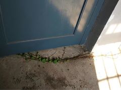 -青岛德国监狱旧址博物馆