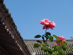 -西安关中民俗艺术博物院
