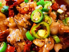 -付小姐在成都(中山公园店)