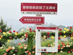 -王莽岭风景区