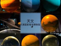 -金凤成祥(草桥店)