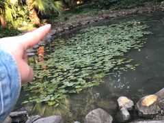 -苏州河梦清园环保主题公园