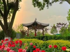 -西海子公园
