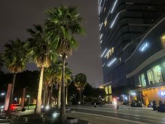 -棕榈MALL