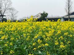 -田园东方蜜桃村的田野营地