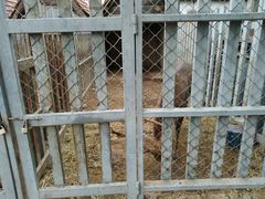 -意大利农场度假村