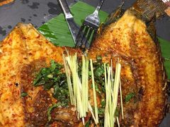 -云海肴·汽锅鸡·云南菜(天津国金汇店)