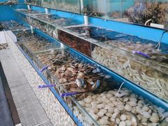 -港畔赶海蒸汽海鲜烧烤自助(仙螺岛店)