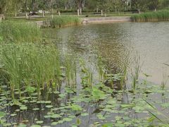 -西海子公园