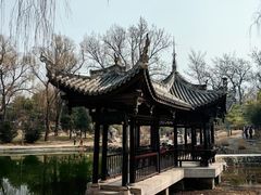 -陶然亭公园