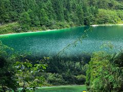 -武陵山森林公园