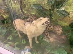 -下渚湖国家湿地公园科普馆