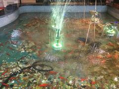 -水晶之星洗浴温泉汗蒸