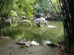 -汇龙潭