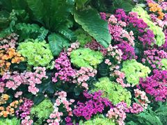 -拉斯维加斯永利酒店