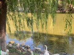 -北京张裕爱斐堡酒庄