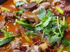 -东山羊庄(八卦岭店)