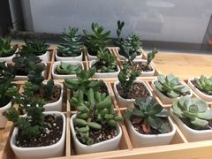 -艾薯夫妇Aysh(福田星河COCOPark店)