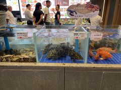 -船歌·鱼水饺青岛菜(闽江二路店)