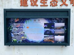 -广东惠东海龟国家级自然保护区