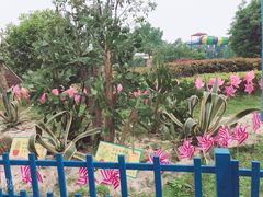 -成都欢乐谷