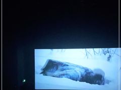 -博纳国际影城IMAX(中央大道店)