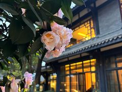 -大妙火锅·非物质文化遗产(东湖公园店)