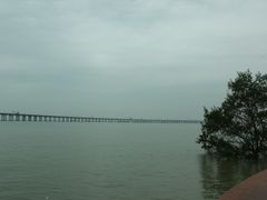 -宝安西湾红树林湿地公园