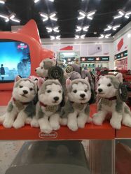 -kidsland(颐堤港店)