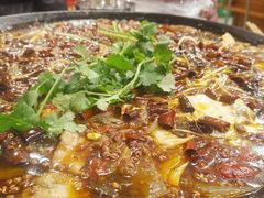 -鸿顺老铁锅美蛙鱼府(解放碑店)