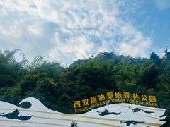-西双版纳原始森林公园