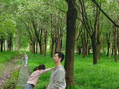 -嘉北郊野公园