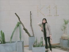 -武汉光谷K11