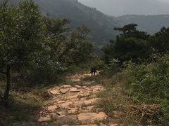 -青龙山风景区