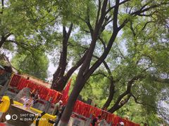 -大槐树寻根祭祖园