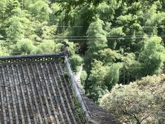 -长谷洞天