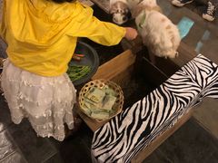 -清迈夜间动物园